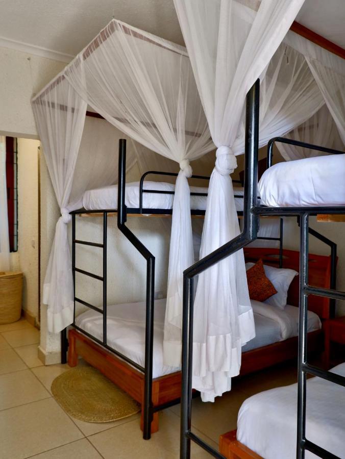 Lost In Africa Arusha Extérieur photo